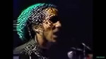 REPTILIAN BOB MARLEY (LIQUID CRYSTAL POLARIZATION) - kinninigan.mp4